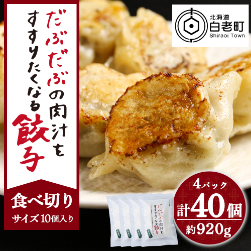 だぶだぶの肉汁をすすりたくなる餃子 40個（10個入×4パック）