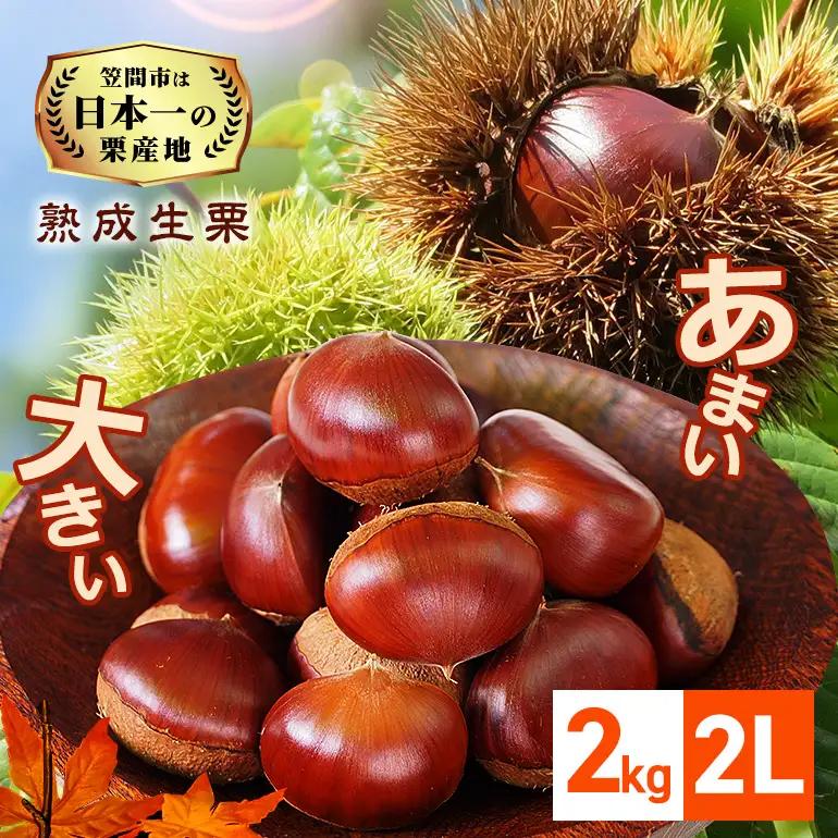 熟成生栗 2kg 栗 2L JV-004