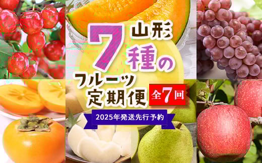 【2025年度 先行予約】7種のフルーツ定期便 全7回 さくらんぼ メロン ぶどう 梨 柿 りんご 果物 フルーツ FSY-2063