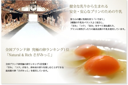 真・プリン2種食べ比べセット6個入り【 プリン 大阪府 松原市 】