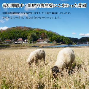 瀬戸内三原 羊飼いのこしひかり（無肥料無農薬米）白米2.6kg 広島 瀬戸内ビオファーム