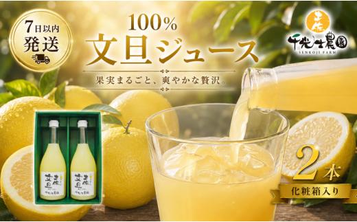 文旦 フレッシュ ジュース 2本セット 果汁 100％ ぶんたん 土佐文旦 高知県 柑橘 みかん 国産 ストレート ギフト 贈答用 720ml 2本 高知特産 フルーツジュース 濃厚 香り 甘味 苦み 農家直送 瓶詰め 果実本来 味 風味 太陽 南国 返礼品 安芸市 高知県