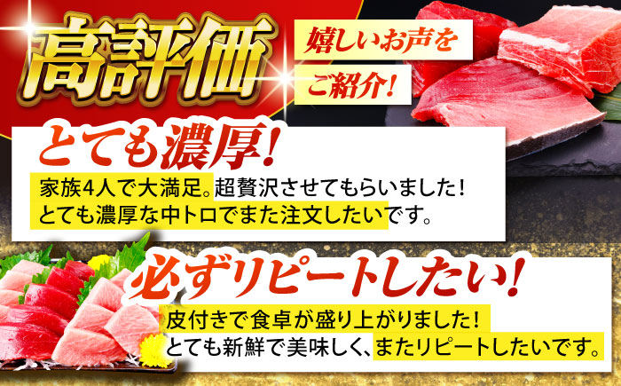 長崎県産 本マグロ「大トロ・中トロ・赤身」詰め合わせ (総量約1kg) まぐろ 鮪 さしみ 刺身 刺し身 冷凍 セット 東彼杵町/大村湾漁業協同組合 [BAK014]