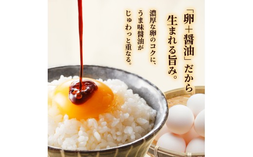 卵どすえ 20個 + うま味醤油 200ml 福知山×舞鶴共通返礼品 | 京都丹波産 卵かけご飯 たまご 卵 鶏卵 卵どすえ 卵かけご飯 セット 生卵 玉子 醤油 旨味醤油 京都 福知山 舞鶴 京都北