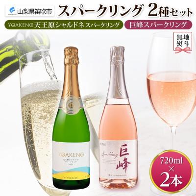 ふるさと納税 笛吹市 無地熨斗 山梨県 スパークリング 2種飲み比べ(シャルドネ 泡・巨峰 泡)各1本 笛吹市