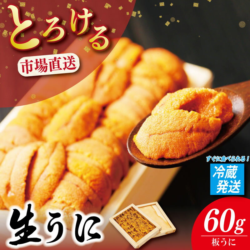 【ふるさと納税】 うに 60g 《 冷蔵発送！すぐに食べられる！》 生うに 板うに 雲丹 高級 魚介 海鮮 ウニ丼 米 寿司 冷蔵 お取り寄せ 人気 国産 徳島 魚市場
