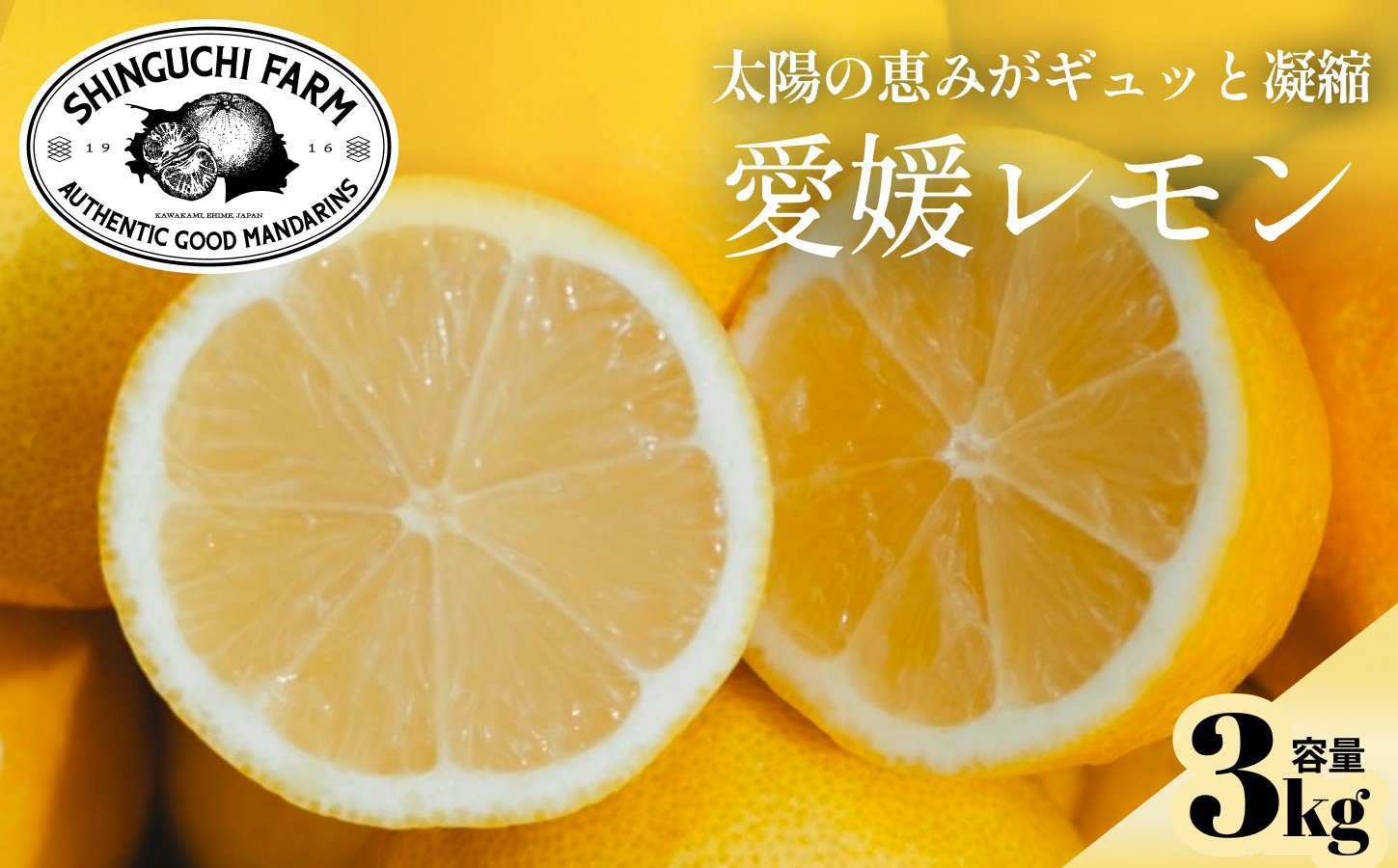 
            ＜皮まで食べられる＞愛媛育ちのレモン 3kg 防腐剤・ワックス不使用＜C70-20＞【1470687】
          
