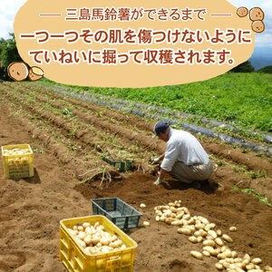 みしまコロッケ 20個  電子レンジ 三島馬鈴薯 コロッケ