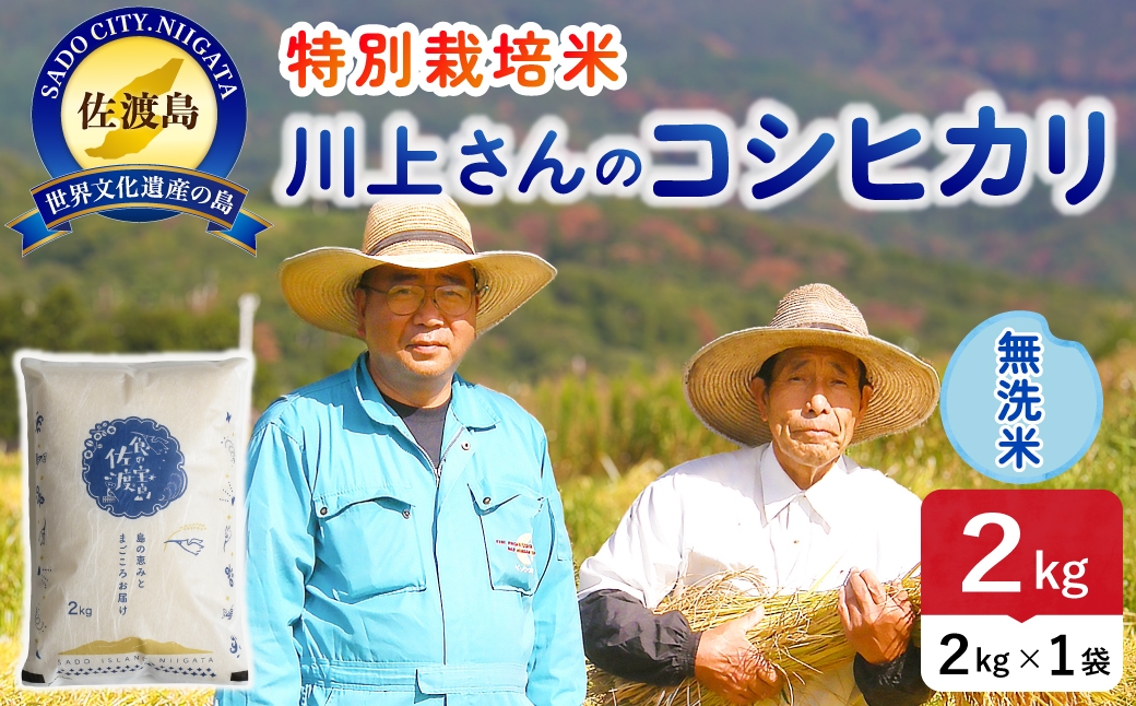 
                  令和8年産 佐渡島産川上さんのコシヒカリ 無洗米2kg 特別栽培米 | 新潟県産コシヒカリ 新潟産コシヒカリ 佐渡産コシヒカリ コシヒカリ 特別栽培米 お米 米 無洗米 むせんまい おこめ コメ 2キロ にいがた さど 新潟県 佐渡市
                