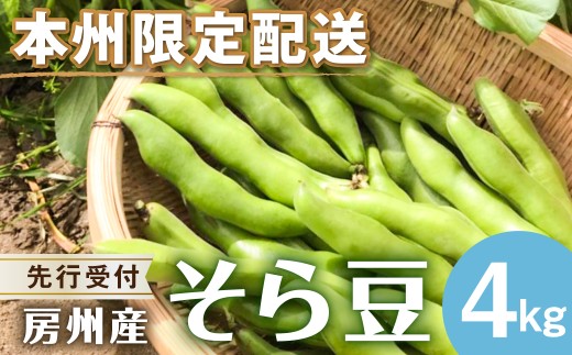 【先行受付 2026年4月中旬～5月中旬発送予定】そら豆/ソラマメ4kg mi0044-0012【豆 野菜 期間限定 数量限定 新鮮 朝採れ】