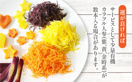 【訳あり】有機にんじん 規格外品人参 約5kg 熊本県産にんじん 人参 山都町産人参 ニンジン 産地直送 高原野菜 新鮮有機人参 九州産有機にんじん 有機野菜 オーガニック にんじん【グリーンファーム