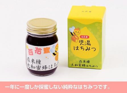 【数量限定】国産はちみつ（百花蜜）500g【蜂蜜 国産 九州産 宮崎県産 川南町産】[H5702]