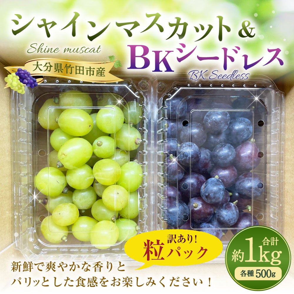 【数量限定】 粒パック 訳あり シャインマスカット （約500g） & BKシードレス （約500g） 計約1kg （各1パック） 【2026年8月下旬～11月上旬発送開始予定】
