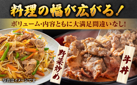 人気爆発中！！！ 佐賀県産 黒毛和牛 切り落とし 1,000g (500g×2パック)【24年6月以降順次発送】  吉野ヶ里町/石丸食肉産業 佐賀県 黒毛和牛 小分け 冷凍 牛肉 肉 カレー しゃぶし