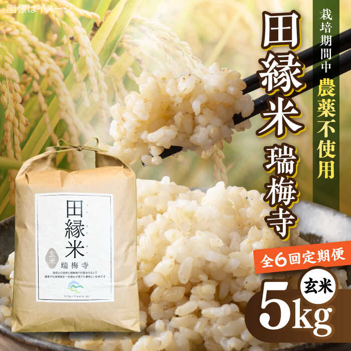 【ふるさと納税】【先行受付】【全6回定期便】 田縁米(でんえんまい)・瑞梅寺(ずいばいじ) 玄米 5kg 【2025年11月下旬以降順次発送】 糸島市 / NPO法人田縁プロジェクト 米 玄米 定期便[ATM009]　112000円