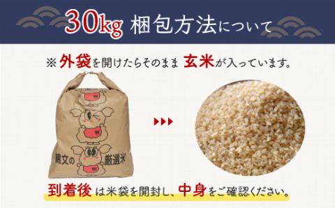 令和5年産 千葉県産エコ米「コシヒカリ」玄米30kg（30kg×1袋） A015