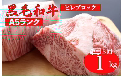 【全3回定期便】黒毛和牛 A5ランク ヒレ ブロック 1kg ソース付 和牛 冷蔵 冷蔵便 ブロック肉 牛肉 ヒレ肉 ヒレステーキ フィレ 1キロ 贈答 ギフト お中元