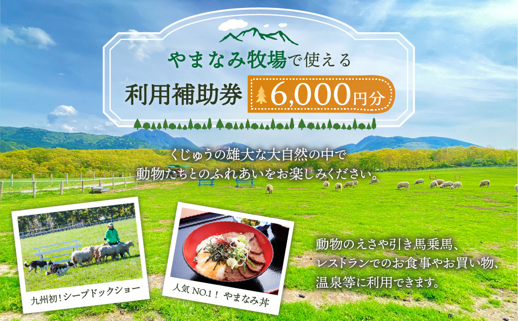 やまなみ牧場 で使える 利用 補助券 (6000円分) 九重 牧場 ギフト券 利用券 動物 チケット