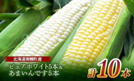 《先行受付》令和7年発送 北海道産 とうもろこし 食べ比べ ピュアホワイト5本＆あまいんです5本 朝採れ 一番果 産地直送 数量限定 期間限定  とうきび トウキビ トウモロコシ コーン 野菜 食品 北海道 南幌町 NP1-174