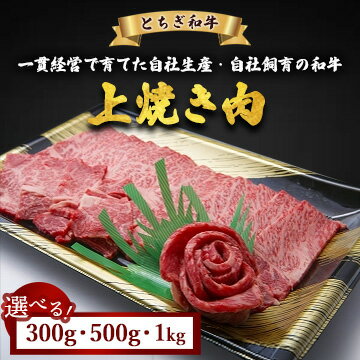 【ふるさと納税】【選べる容量】とちぎ和牛 上焼き肉用 300g 500g 1kg | お肉 牛肉 和牛 ブランド牛 黒毛和牛 焼肉 惣菜 おかず アウトドア キャンプ BBQ バーベキュー 冷凍 国産 栃木県 鹿沼市