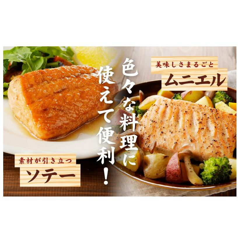 北極圏サーモン ポーション 700g【小分け 350g×2P 海鮮丼 人気 オススメ 小分け 冷凍 簡単調理 一人暮らし 東洋冷蔵】 010B1329_イメージ5