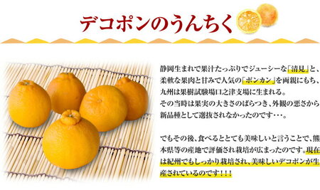 デコ不知火（デコポン） 約2.8kg/サイズおまかせ　※2026年2月上旬～2026年4月上旬頃に順次発送予定(お届け日指定不可)　紀伊国屋文左衛門本舗　【ntb421C】