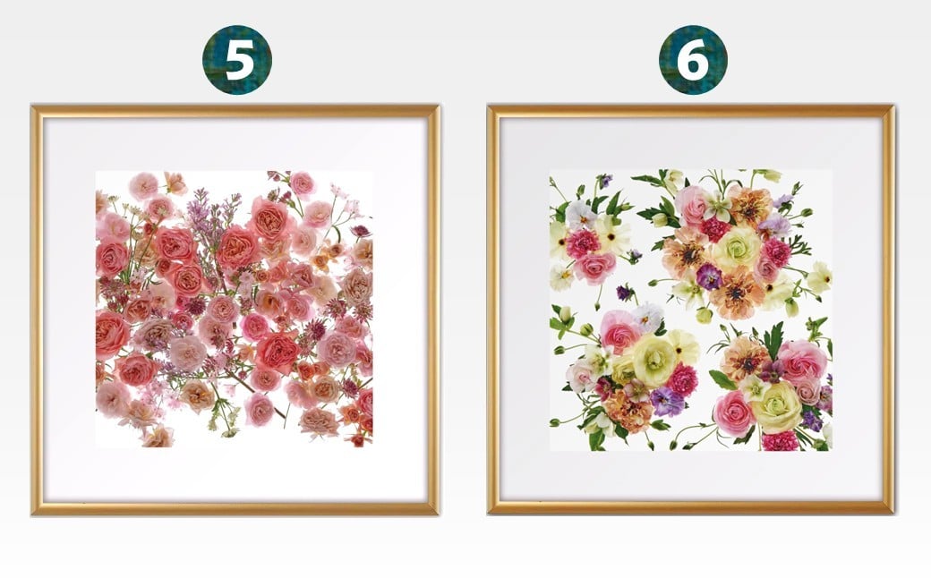 （5）Floral Symphony　（6）Blooming Vista