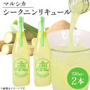 【ふるさと納税】「鹿児島県貿易協会会長賞」マルシカ　シークニンリキュール　720ml×2本【1403874】