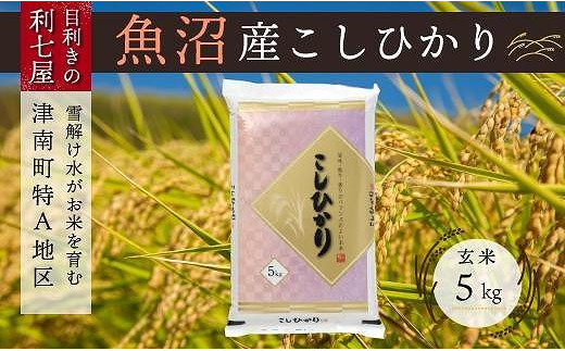 
【令和5年産 新米】【魚沼産コシヒカリ 玄米5kg×全12回】雪解け水がお米を育む、津南町特A地区の美味しいお米。
