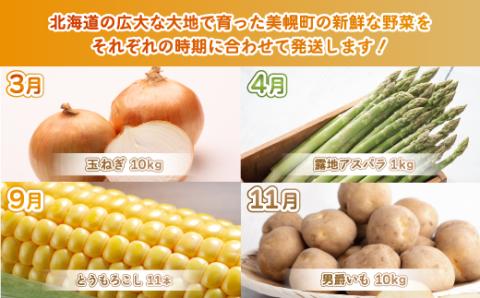 【定期便】先行予約 美幌町でとれた新鮮野菜～全4回～　2024年3月発送開始予定 BHRG081