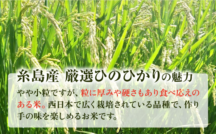 【全3回定期便】いとし米　厳選ひのひかり　2kg(糸島産)糸島市/三島商店 [AIM068]