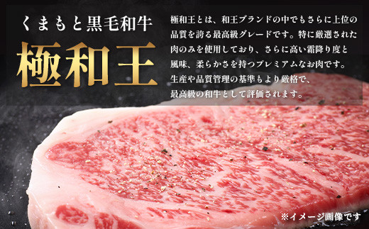 くまもと黒毛和牛 極 和王 サーロインステーキ 330g×2+ミンチ300ｇ