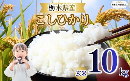 栃木県産 こしひかり 玄米 10kg 2026年 先行予約 | 栃木県 矢板市