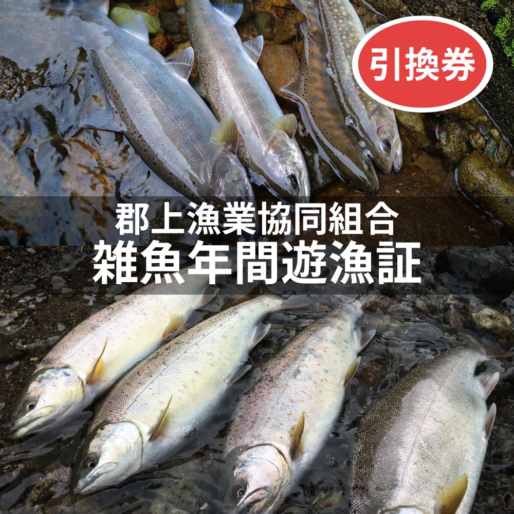 【ふるさと納税】岐阜県郡上市 雑魚年間遊漁証（2026シーズン）郡上漁協 発行 渓流釣り 引換券 年券 チケット 22000円