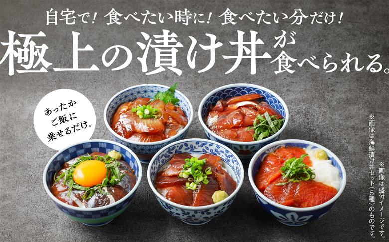 マグロ漬け丼セット 60g×10袋 計600g 訳アリ 訳あり 簡易包装 冷凍 時短 簡単調理 お手軽 小分け パック 個包装 一人暮らし 海鮮丼 海鮮 鮪 季節 魚 漬け 丼 魚介 おすすめ 送料無