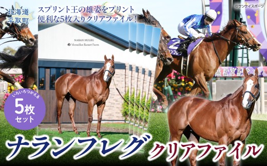【ナランフレグ】クリアファイル5枚入り 【ふるさと納税 人気 おすすめ ランキング 馬 競馬 競走馬 引退馬 ナランフレグ クリアファイル ファイル 事務用品 文房具 日高 北海道 平取町 送料無料】 BRTV354