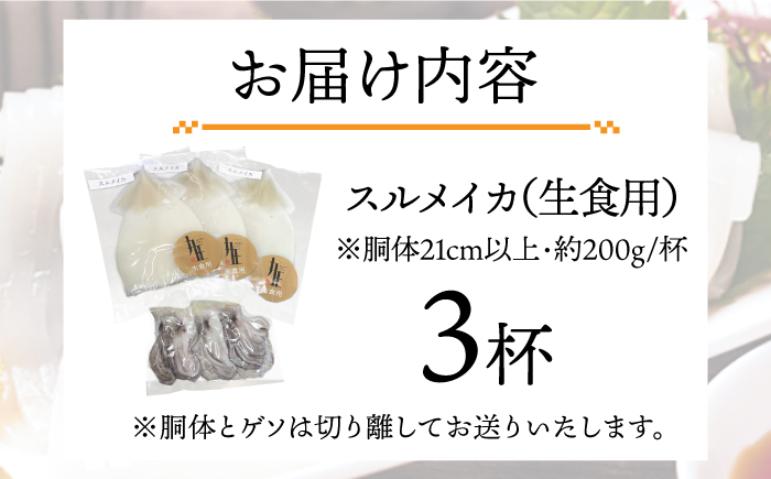 スルメ 刺身用 （生食用）3杯 《壱岐市》【株式会社マルショウ】 いか イカ スルメ おつまみ 刺身 [JEW009] 11000 11000円