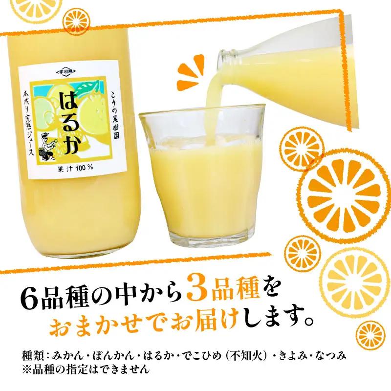 完熟 みかんジュース 化粧箱入り 木成り 1000ml×3本 こうの果樹園 みかんｼﾞｭｰｽみかんｼﾞｭｰｽみかんｼﾞｭｰｽ H020-182002
