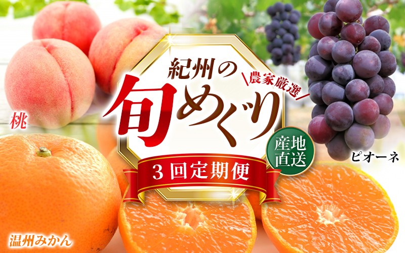 
            【定期便全3回】産直・和歌山フルーツ定期便（桃・ピオーネ・有田みかん） 【tkb415】
          