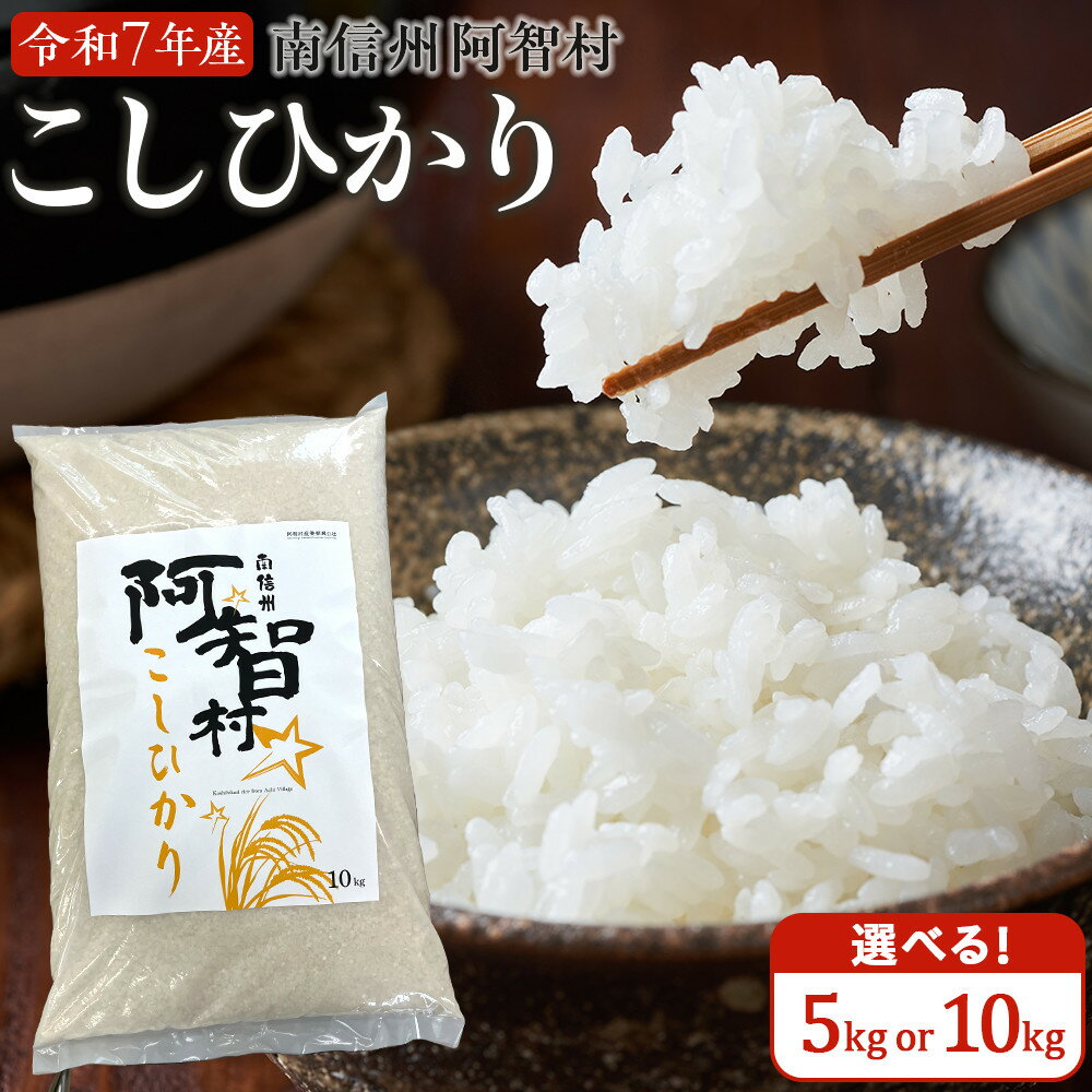 【ふるさと納税】【容量選択可能 5kg/10kg】 米 こしひかり 10kg 定期便 | コメ お米 令和7年 白米 精米 長野 南信州 ふるさと納税 コシヒカリ 阿智村 人気 おすすめ 送料無料 お取り寄せ ふるさと納税 米 ふるさと 長野