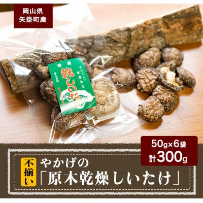 ふるさと納税 矢掛町 やかげの「原木乾燥しいたけ」300g 岡山県矢掛産《30日以内に出荷予定(土日祝除く)》