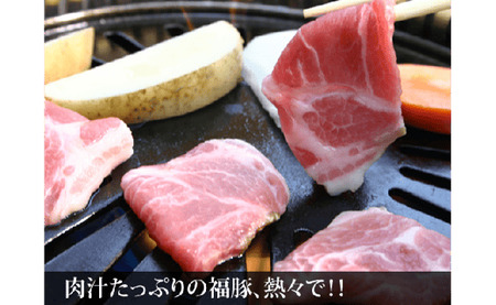 A-67　極上霜降り　肩ロースセット（肩ロース切り身×4枚・肩ローススライス×500g）