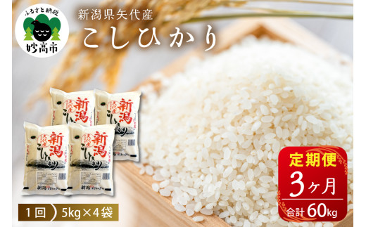 【2025年6月上旬発送】新潟県矢代産コシヒカリ20kg(5kg×4袋)×3回（計60kg）