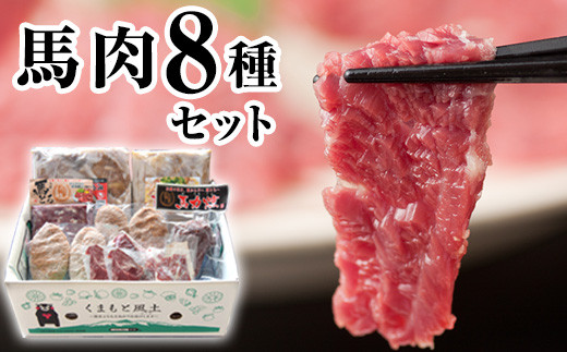 純国産馬肉8種セット 計2200g 《30日以内に出荷予定(土日祝除く)》 熊本肥育 2年連続農林水産大臣賞受賞 送料無料 馬刺し 馬肉 馬スジ ホルモン 燻製 霜降り ハンバーグ 熊本県玉東町