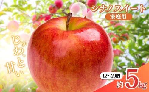 2026年産先行予約 長野市産シナノスイート家庭用 約5kg オンライン決済限定 果物 フルーツ デザート 食後 おやつ 長野県産 信州 甘い 交配品種 酸味が少ない りんご