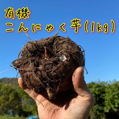 ふるさと納税 下仁田町 有機こんにゃく芋(約1kg)(レシピ・凝固剤付き)