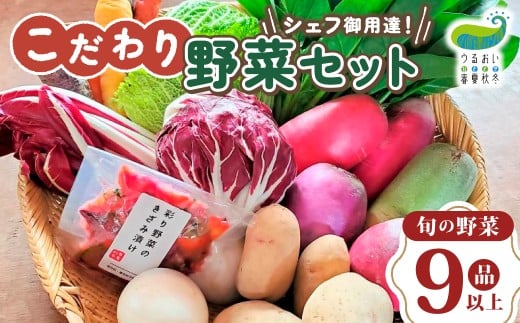 こだわり 野菜セット（9品以上） うるおい春夏秋冬 岩手県 北上市 C0493 国産 産地直送 旬野菜 なす にんじん キャベツ レタス 季節の野菜 西洋野菜  紫人参 黄色人参 丸なす 水なす 小なす 長なす とうがらし 伏見とうがらし カラフル 野菜