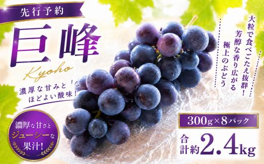 【先行予約】巨峰 300g×8パック 合計約2.4kg ぶどう ブドウ 葡萄 グレープ フルーツ 果物 果実 福岡県 柳川市 国産 2026年8月中旬～8月下旬迄発送予定