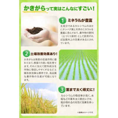 ふるさと納税 笠岡市 【瀬戸内海保護】里海米食べ比べ3本セット　無洗米　A-154e |  | 02