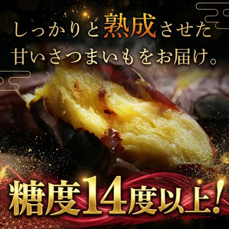 紅はるか 5㎏ 【SDK001】紅はるか